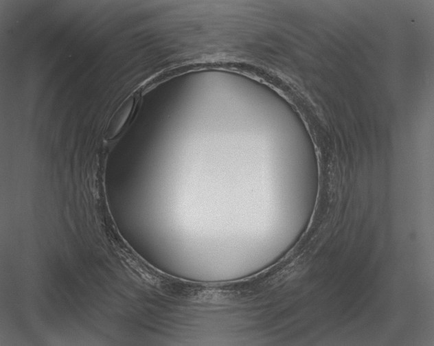 X0000082961265200702222330