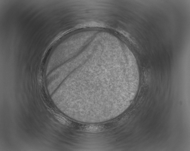 X0000082961266200702222330