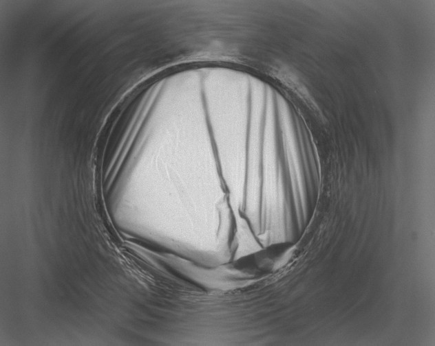 X0000082961268200702222330