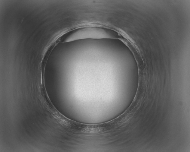 X0000082961269200702222330