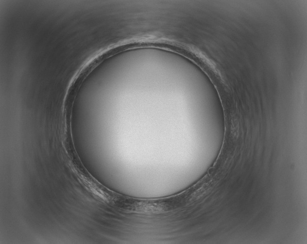 X0000082961270200702222330