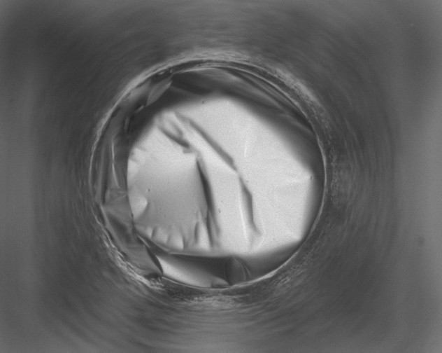 X0000082961272200702222330