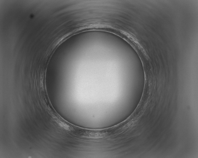 X0000082961273200702222330