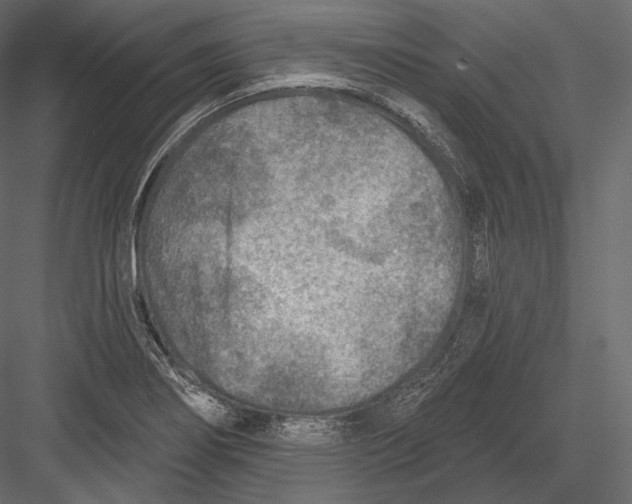 X0000082961274200702222330