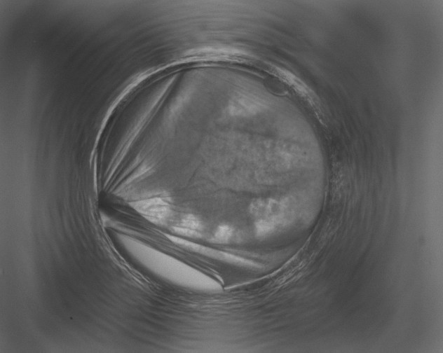 X0000082961275200702222330