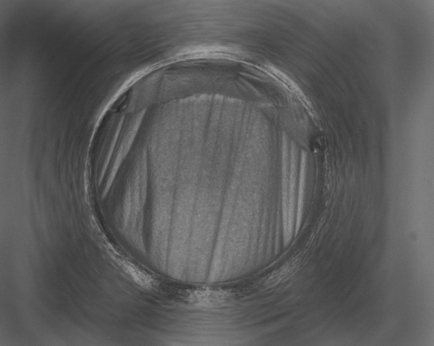 X0000082961277200702222330