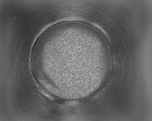 X0000082961278200702222330