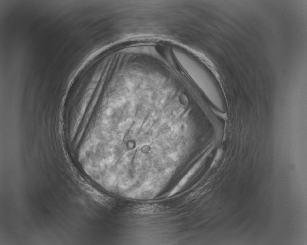 X0000082961279200702222330