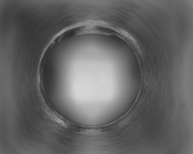 X0000082961280200702222330