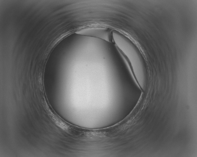 X0000082961281200702222330