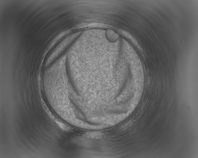 X0000082961282200702222330