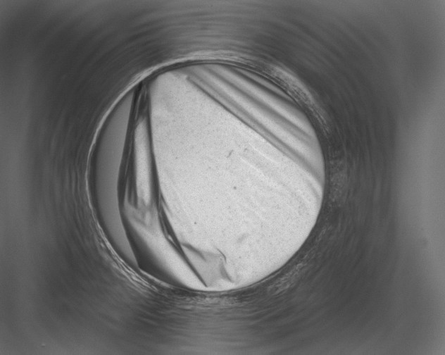 X0000082961284200702222330