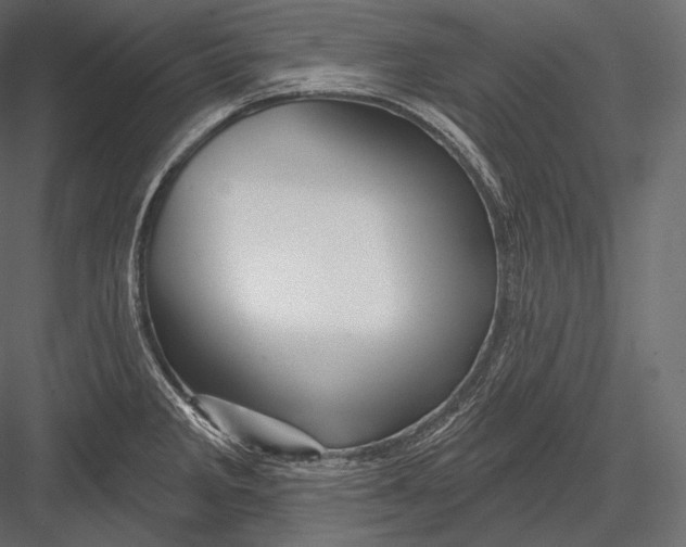 X0000082961285200702222330