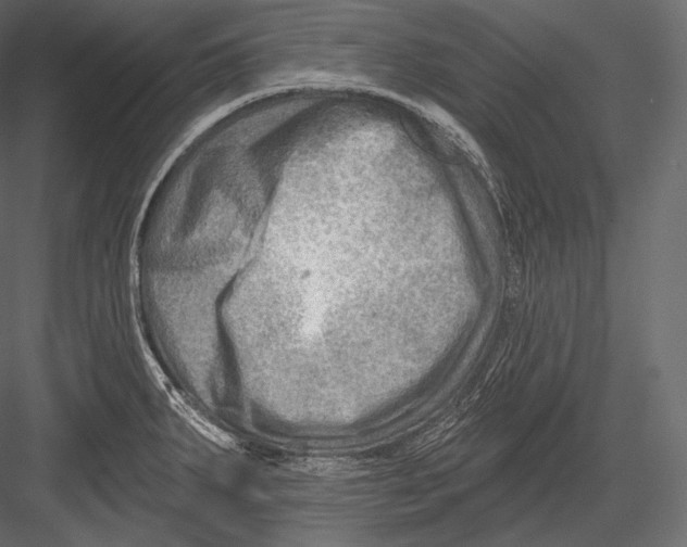 X0000082961287200702222330