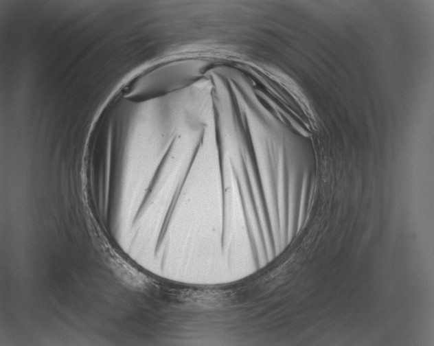 X0000082961288200702222330