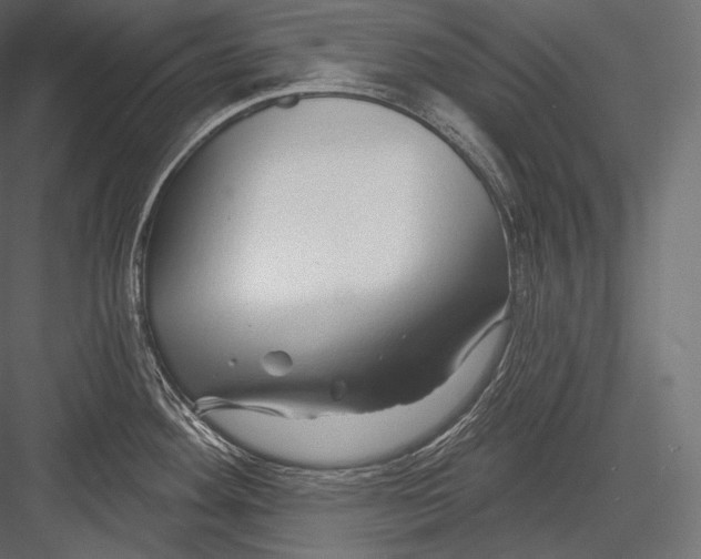 X0000082961292200702222330