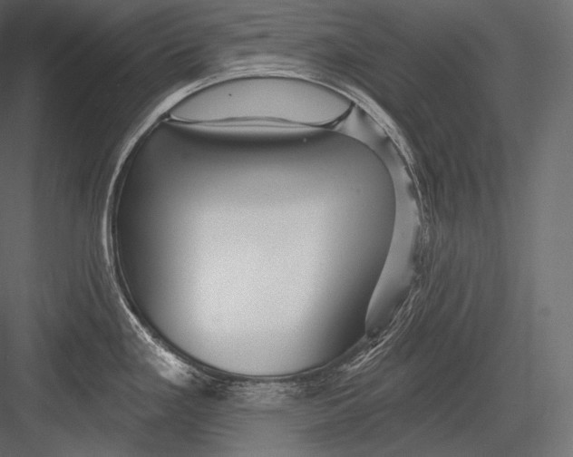 X0000082961293200702222330