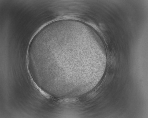 X0000082961294200702222330