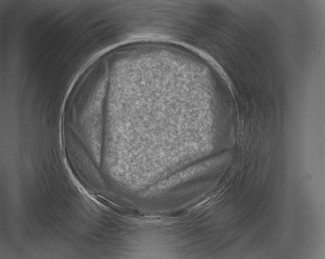 X0000082961295200702222330