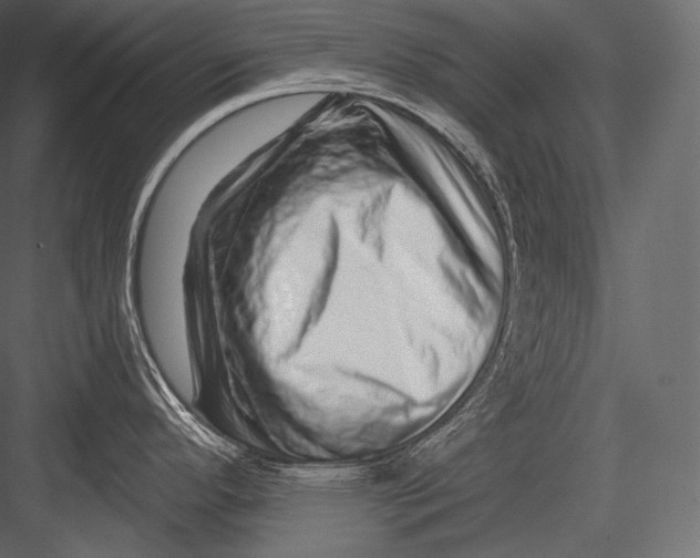 X0000082961296200702222330