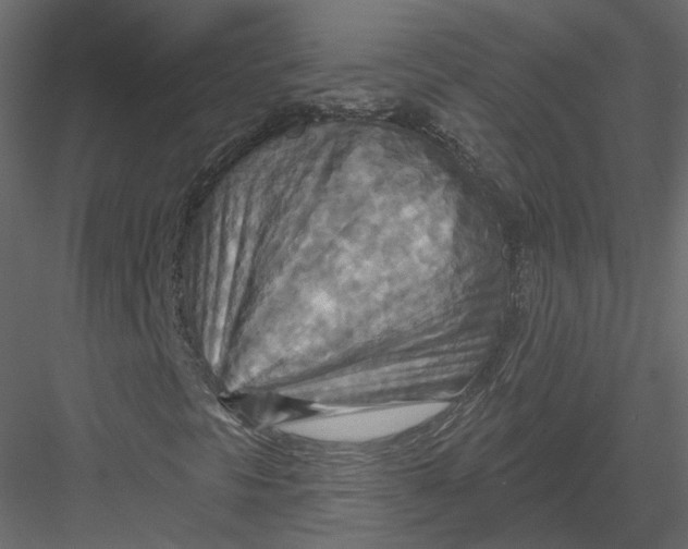 X0000082961297200702222329