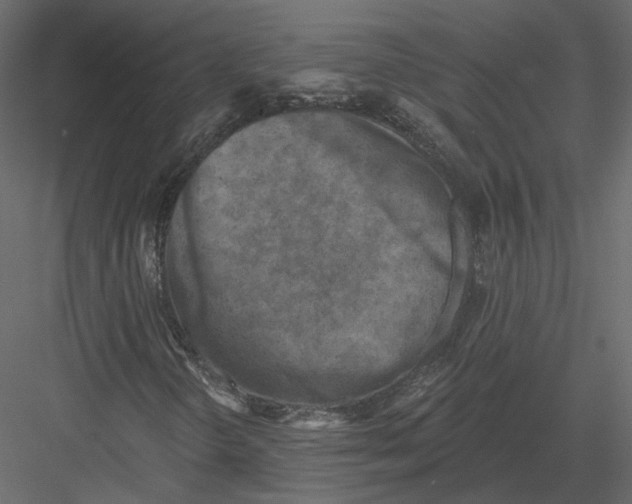 X0000082961298200702222329