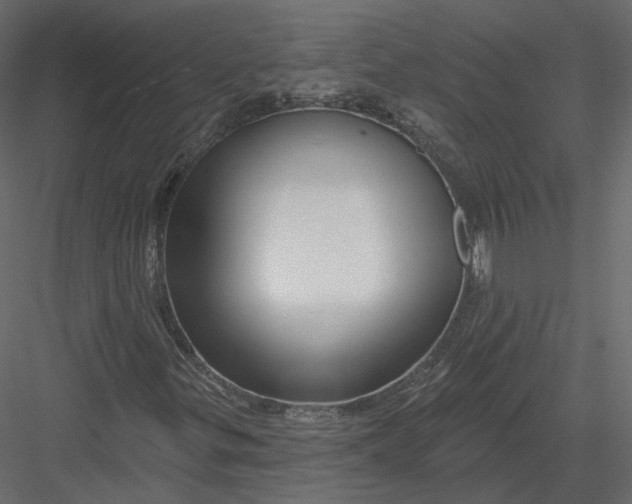 X0000082961299200702222329