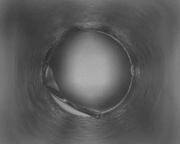 X0000082961300200702222329