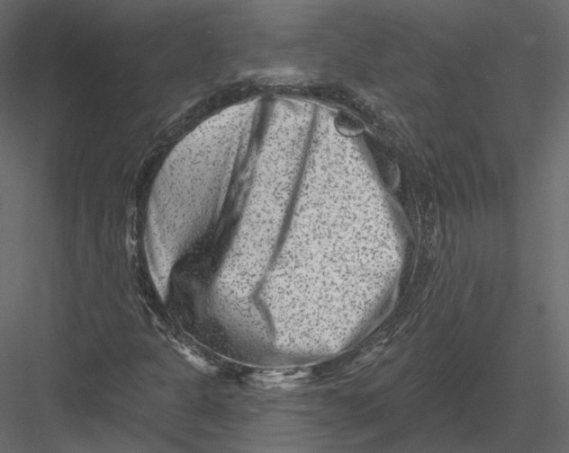 X0000082961301200702222329