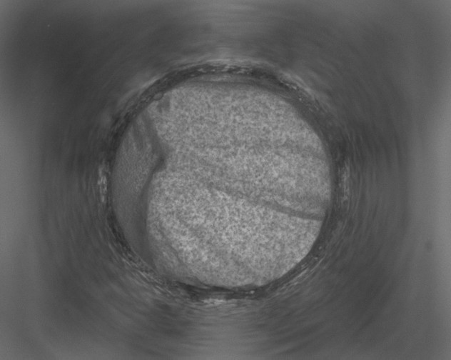 X0000082961302200702222329