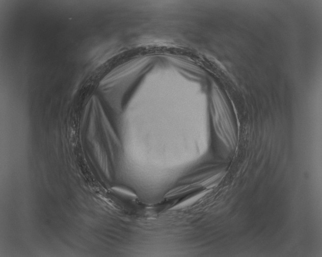 X0000082961303200702222329