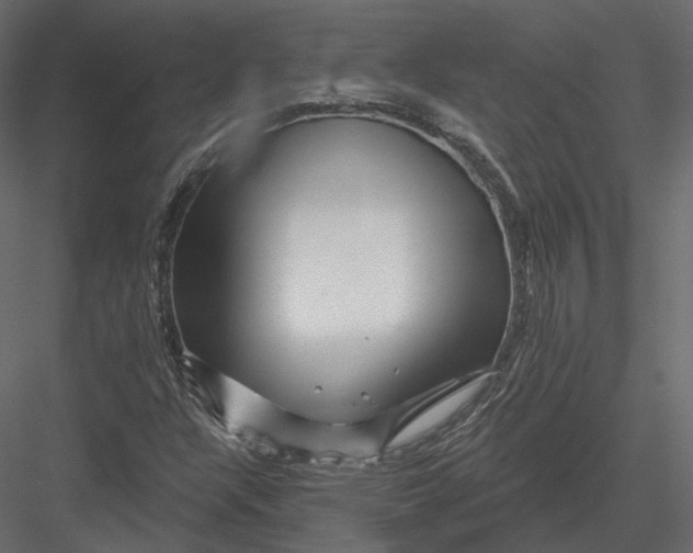 X0000082961304200702222329