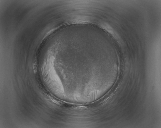 X0000082961306200702222329