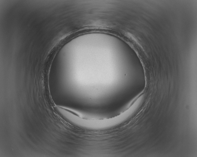 X0000082961307200702222329