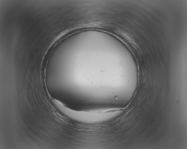 X0000082961308200702222329