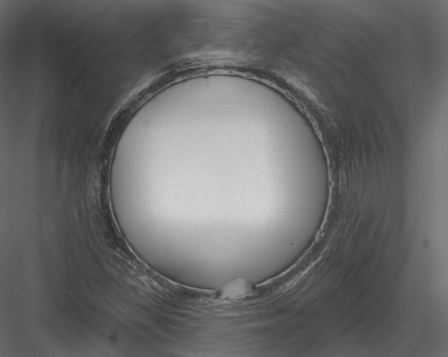 X0000082961309200702222329