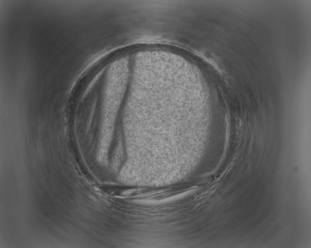 X0000082961311200702222329