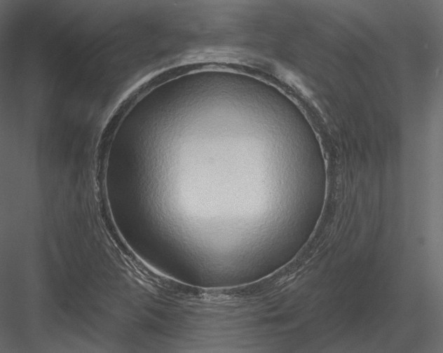 X0000082961312200702222329