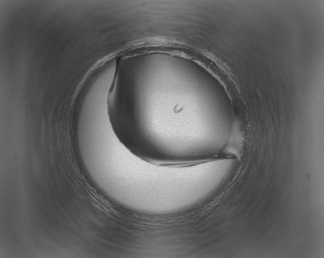 X0000082961314200702222329