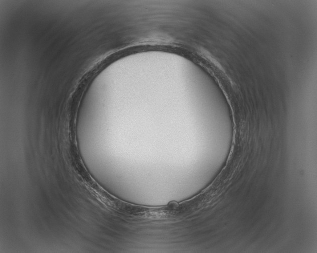 X0000082961315200702222329