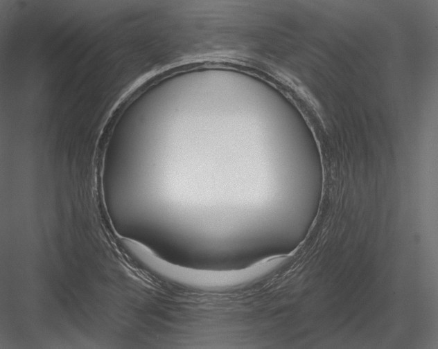 X0000082961316200702222329