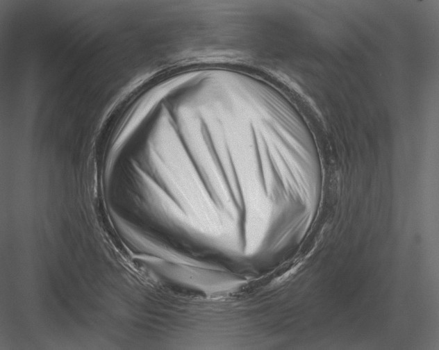 X0000082961317200702222329