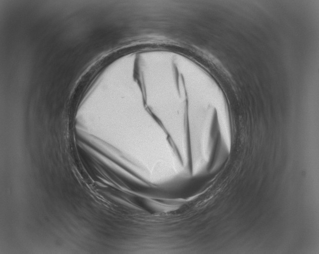 X0000082961318200702222329