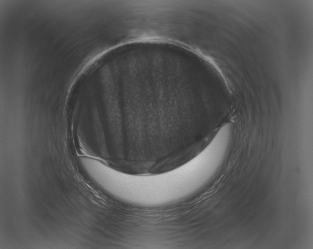 X0000082961319200702222329