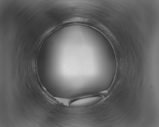 X0000082961321200702222329