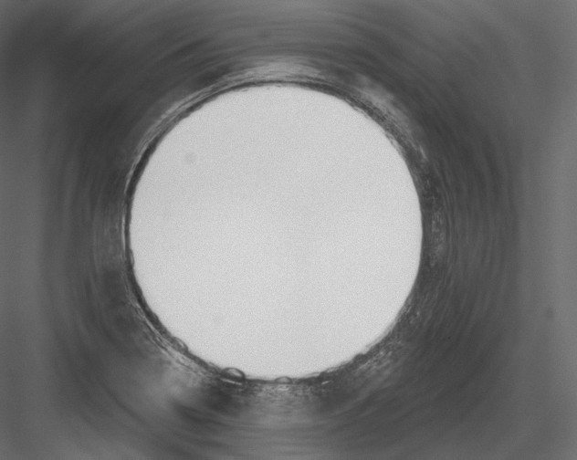 X0000082961322200702222329