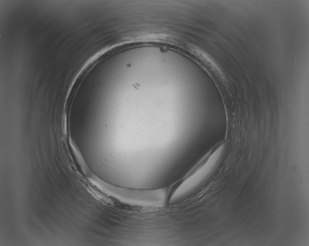 X0000082961324200702222329