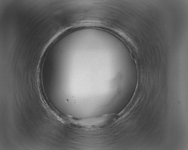 X0000082961325200702222329