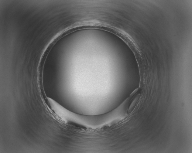 X0000082961326200702222329