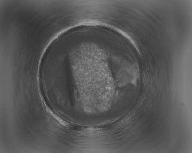 X0000082961327200702222329